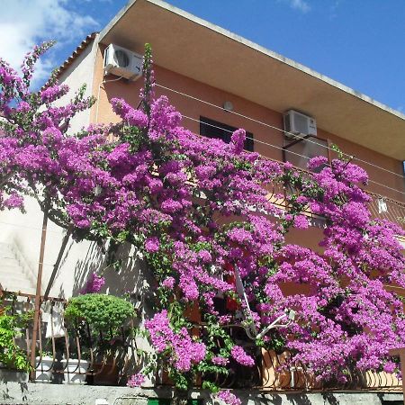 Apartments Katica マカルスカ エクステリア 写真
